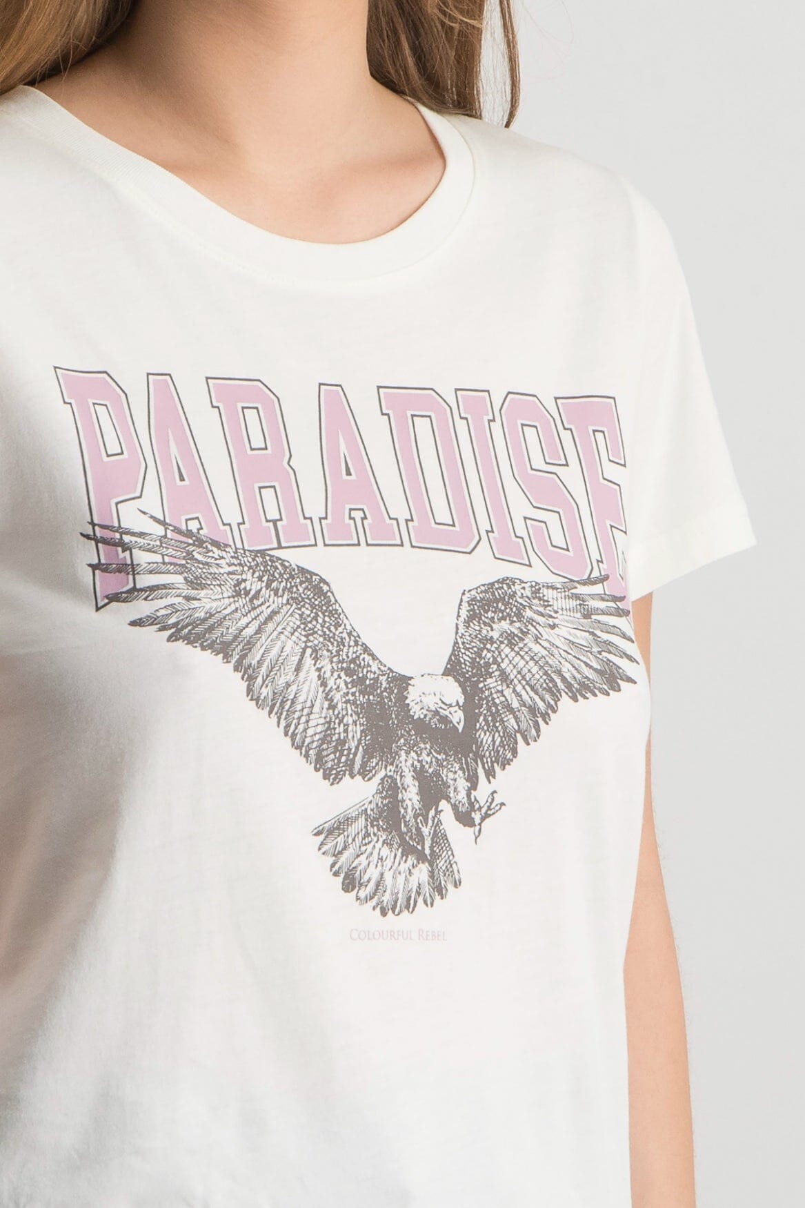 Colourful Rebel Paradise Eagle Classic Tee | Light off white 