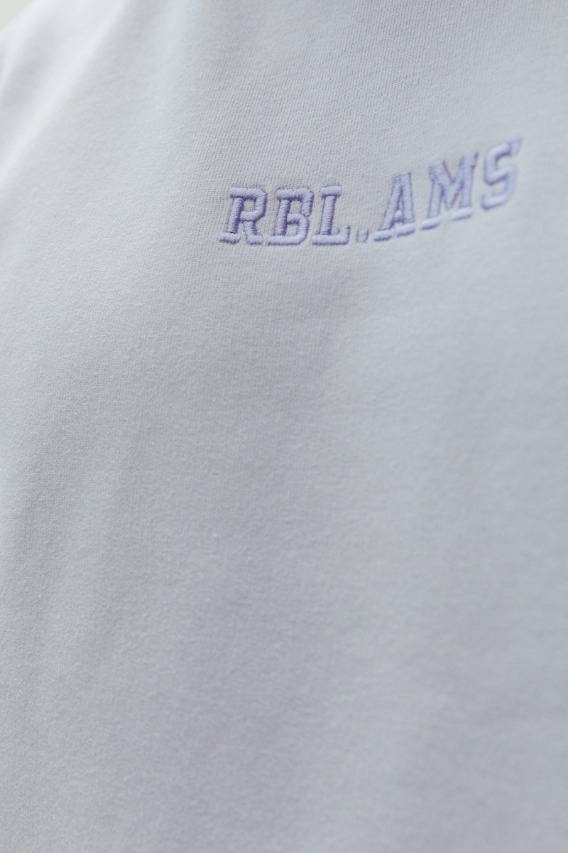 Colourful Rebel RBL AMS Embro Hoodie | Lilac 
