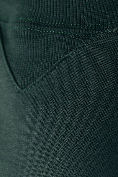 Colourful Rebel RBL.AMS Cord Embro Basic Sweat | Dark green 
