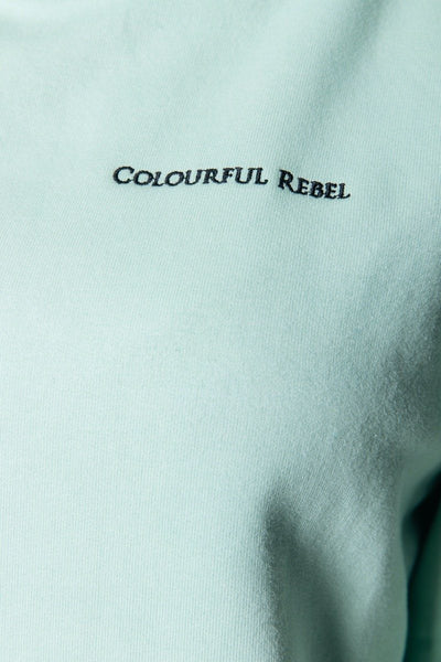 Colourful Rebel The Sun Embro Oversized Hoodie | Mint 