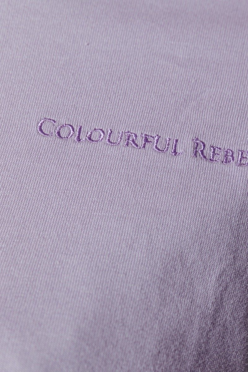 Colourful Rebel Uni Cropped Boxy Tee | Lilac 