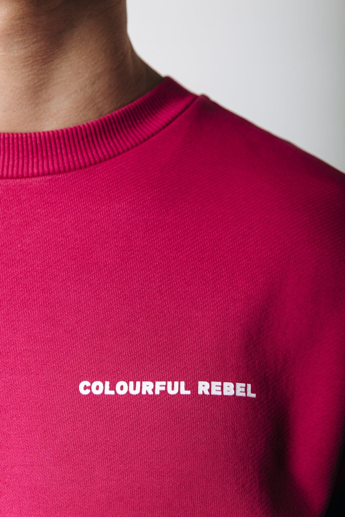 Colourful Rebel Uni Logo Basic Sweat | Burgundy