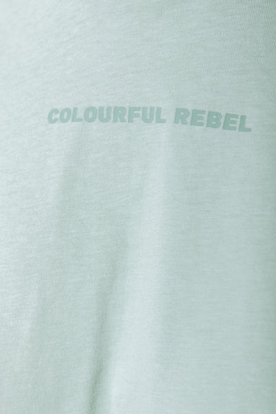 Colourful Rebel Uni Logo Cropped Oversized Tee | Light mint 