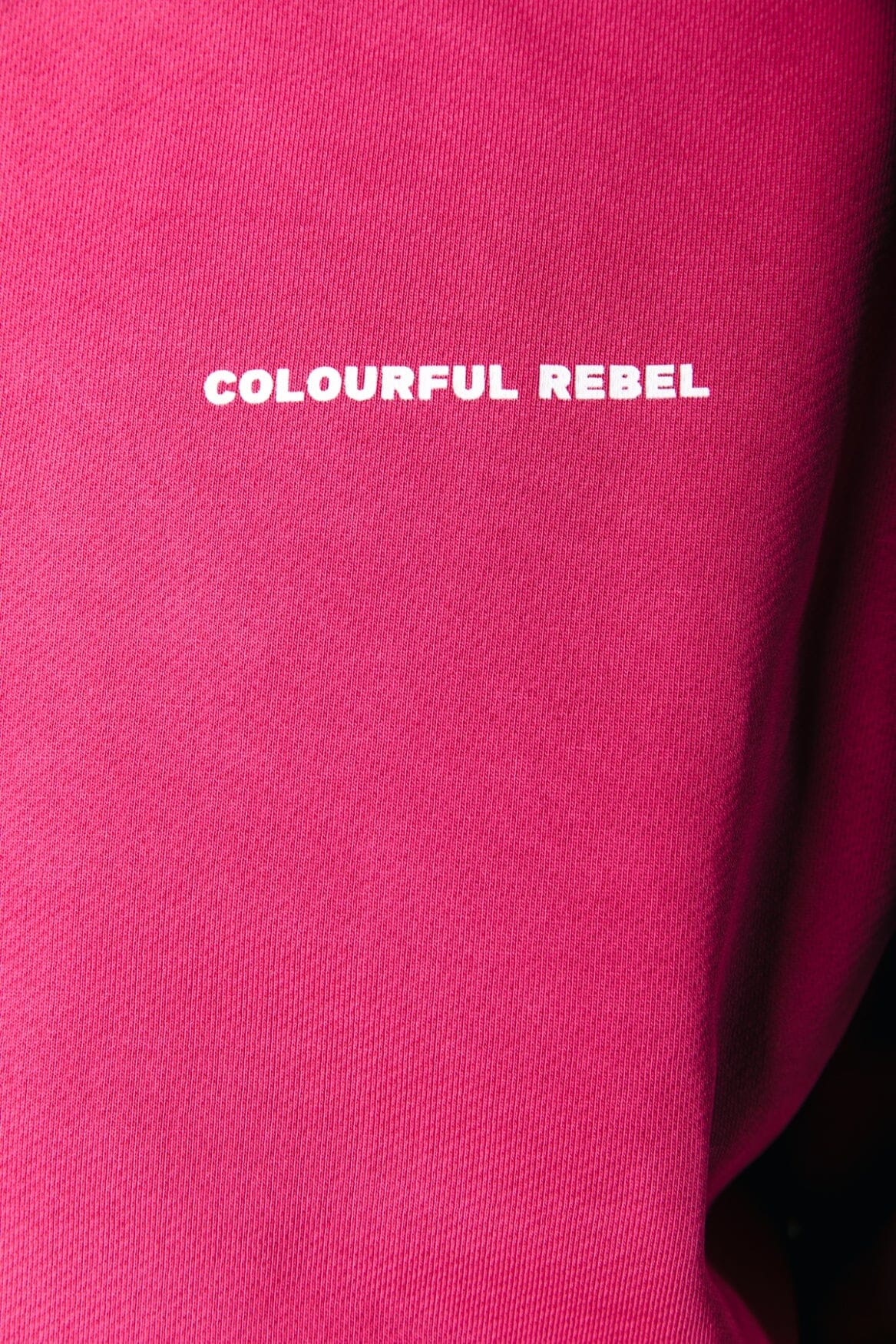 Colourful Rebel Uni Logo Relaxed Clean Hoodie | Burgundy